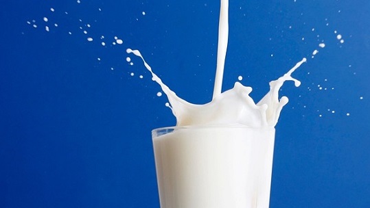 ممکن است شیر آن‌قدرها هم که گمان می‌کنید مفید نباشد! 