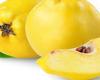 قوی شدن سیستم ایمنی بدن با خوردن میوه به