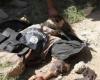 خطرناک‌ترین سرکرده داعش‌ کشته شد (عکس)