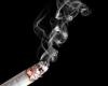 ناقابل 11 میلیون سیگاری و قلیانی در ایران