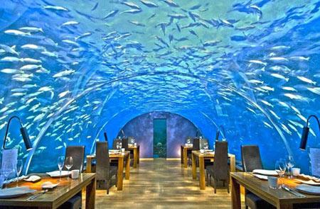 رستوران های مجلل زیر آب (تصاویر)