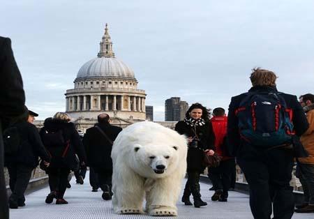 خرس قطبی در خیابان های لندن (تصاویر)