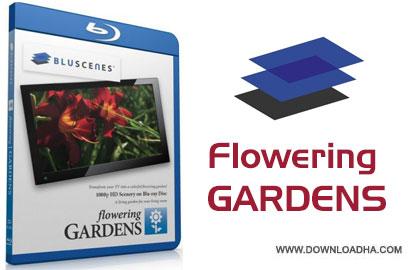  دانلود مستند BluScenes: Flowering Gardens 2012