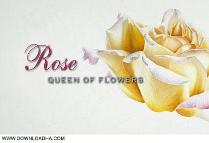 مستند گل رز – Rose: Queen of Flowers 2010 +دانلود
