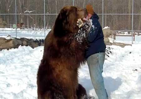 (عکس) 11 میلیون لایک برای در آغوش کشیدن خرس