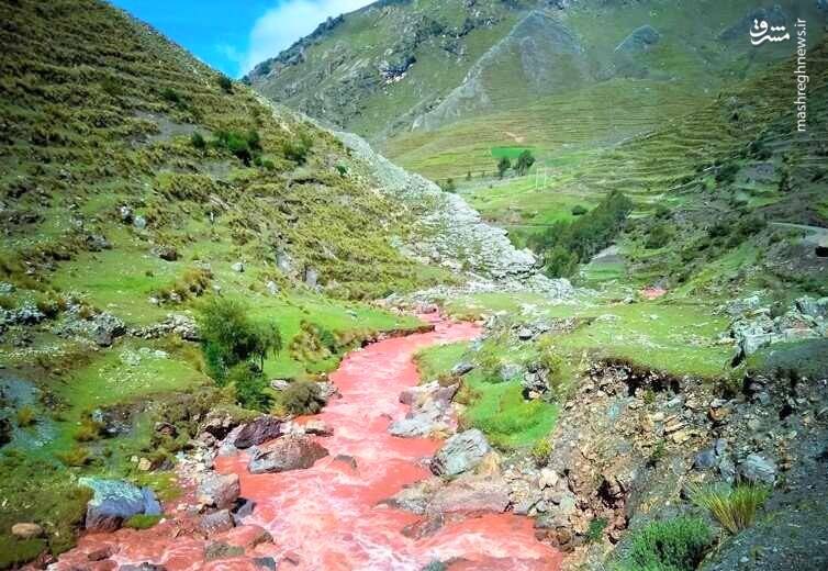 رودخانه‌ای به رنگ خون! +عکس