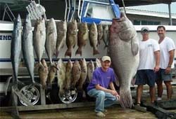 تصاوير بسيار زيبا و ديدني از بزرگترین ماهی‌های صید شده