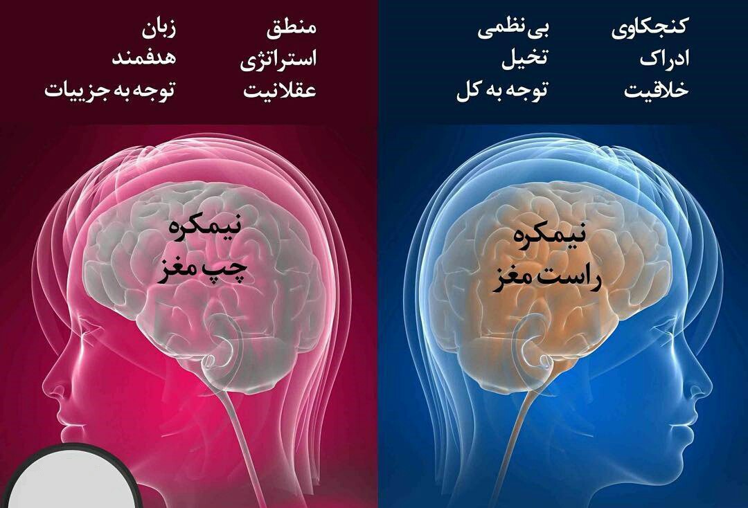 طالع بینی نیم کره های مغز