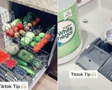 شستن میوه با ماشین ظرفشویی