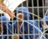  60 اسیر فلسطینی به دلیل اعتصاب غذا به زندان های انفرادی منتقل شدند