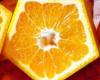 پرتقال عجیب ۵ ضلعی در ژاپن +عكس