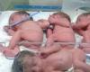 تولد نوزادان چهار قلو در مشهد +عكس