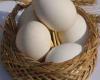 جواب معمای تعداد تخم مرغها در سبد
