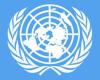 سازمان ملل 