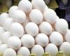 ورود ۲۰ هزار تن تخم مرغ به کشور