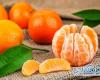 خواص میوه ی نارنجی پاییزی