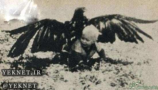 |تصاویر| شکار یک پسربچه‌ توسط عقاب 