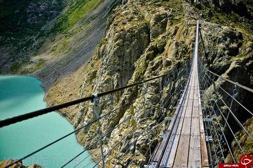 (تصاویر) دلهره آورترین پل های جهان