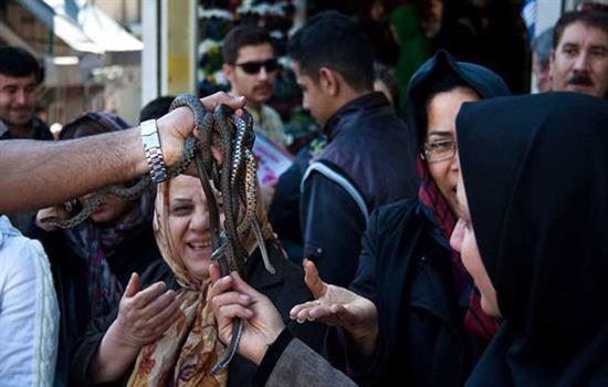 حراج مار زنده را در بازار تهران +عكس