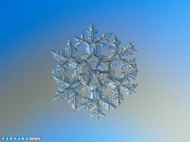 (تصاویر) دانه های برف زیر میکروسکوپ