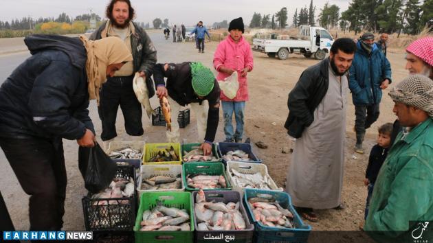 (تصاویر) بازار ماهی فروشی داعش
