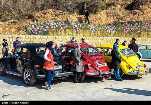 (تصاویر) خودرو‌های قدیمی در شیراز