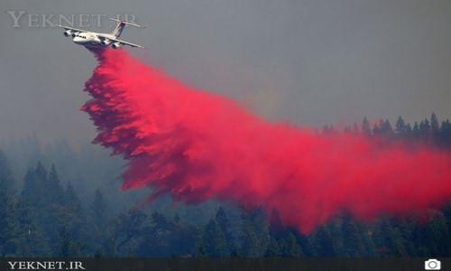 آتش گرفتن جنگل هاي كاليفرنيا از نمايي زيبا +تصاوير